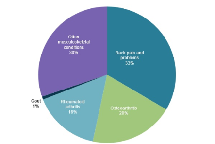 muskoskeletal condition burden